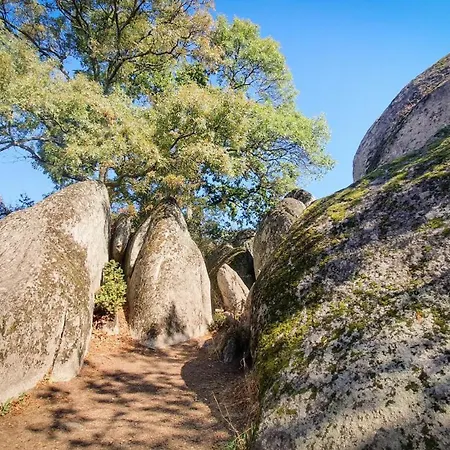 Apartment Comfort Blue