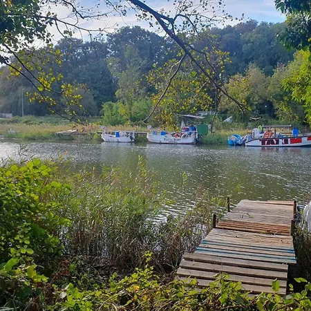 Comfort Blue * 普里莫尔斯科