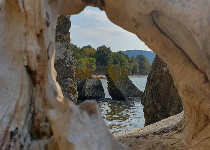 Comfort Blue Apartment