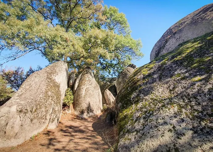 Apartment Comfort Blue